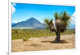 ¡Viva Mexico! Collection - Desert Landscape - Puebla IV-Philippe Hugonnard-Framed Photographic Print