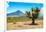 ¡Viva Mexico! Collection - Desert Landscape - Puebla IV-Philippe Hugonnard-Framed Photographic Print