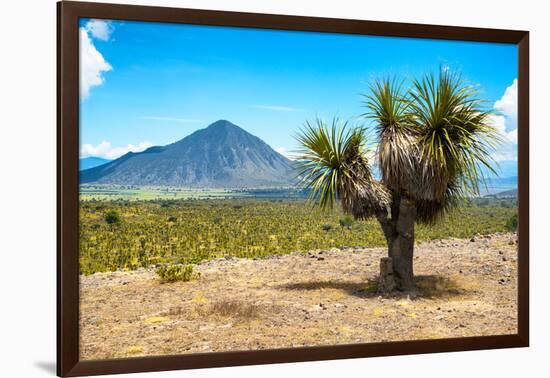 ¡Viva Mexico! Collection - Desert Landscape - Puebla IV-Philippe Hugonnard-Framed Photographic Print