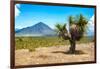 ¡Viva Mexico! Collection - Desert Landscape - Puebla IV-Philippe Hugonnard-Framed Photographic Print