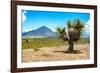 ¡Viva Mexico! Collection - Desert Landscape - Puebla IV-Philippe Hugonnard-Framed Photographic Print