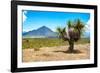 ¡Viva Mexico! Collection - Desert Landscape - Puebla IV-Philippe Hugonnard-Framed Photographic Print