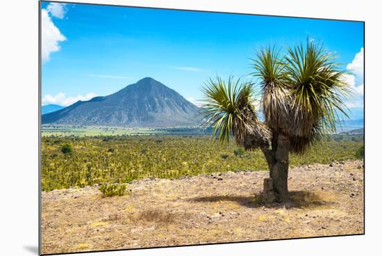 ¡Viva Mexico! Collection - Desert Landscape - Puebla IV-Philippe Hugonnard-Mounted Photographic Print