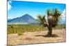 ¡Viva Mexico! Collection - Desert Landscape - Puebla IV-Philippe Hugonnard-Mounted Photographic Print