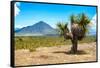 ¡Viva Mexico! Collection - Desert Landscape - Puebla IV-Philippe Hugonnard-Framed Stretched Canvas