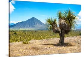 ¡Viva Mexico! Collection - Desert Landscape - Puebla IV-Philippe Hugonnard-Stretched Canvas