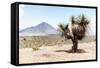 ¡Viva Mexico! Collection - Desert Landscape - Puebla V-Philippe Hugonnard-Framed Stretched Canvas