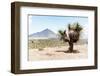 ¡Viva Mexico! Collection - Desert Landscape - Puebla V-Philippe Hugonnard-Framed Photographic Print