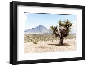 ¡Viva Mexico! Collection - Desert Landscape - Puebla V-Philippe Hugonnard-Framed Photographic Print