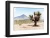 ¡Viva Mexico! Collection - Desert Landscape - Puebla V-Philippe Hugonnard-Framed Photographic Print