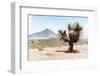 ¡Viva Mexico! Collection - Desert Landscape - Puebla V-Philippe Hugonnard-Framed Photographic Print