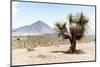 ¡Viva Mexico! Collection - Desert Landscape - Puebla V-Philippe Hugonnard-Mounted Photographic Print
