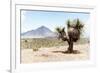 ¡Viva Mexico! Collection - Desert Landscape - Puebla V-Philippe Hugonnard-Framed Photographic Print