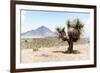 ¡Viva Mexico! Collection - Desert Landscape - Puebla V-Philippe Hugonnard-Framed Photographic Print