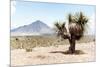 ¡Viva Mexico! Collection - Desert Landscape - Puebla V-Philippe Hugonnard-Mounted Photographic Print