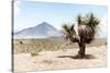 ¡Viva Mexico! Collection - Desert Landscape - Puebla V-Philippe Hugonnard-Stretched Canvas