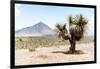 ¡Viva Mexico! Collection - Desert Landscape - Puebla V-Philippe Hugonnard-Framed Photographic Print