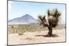 ¡Viva Mexico! Collection - Desert Landscape - Puebla V-Philippe Hugonnard-Mounted Photographic Print