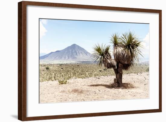 ¡Viva Mexico! Collection - Desert Landscape - Puebla V-Philippe Hugonnard-Framed Photographic Print