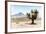 ¡Viva Mexico! Collection - Desert Landscape - Puebla V-Philippe Hugonnard-Framed Photographic Print