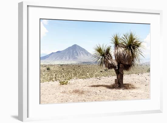 ¡Viva Mexico! Collection - Desert Landscape - Puebla V-Philippe Hugonnard-Framed Photographic Print