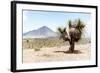 ¡Viva Mexico! Collection - Desert Landscape - Puebla V-Philippe Hugonnard-Framed Photographic Print