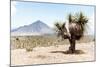 ¡Viva Mexico! Collection - Desert Landscape - Puebla V-Philippe Hugonnard-Mounted Photographic Print