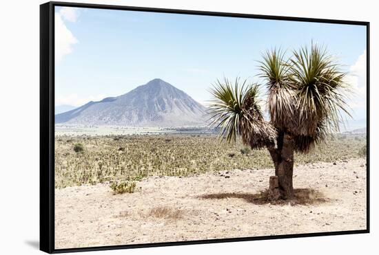 ¡Viva Mexico! Collection - Desert Landscape - Puebla V-Philippe Hugonnard-Framed Stretched Canvas