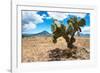 ¡Viva Mexico! Collection - Desert Landscape - Puebla-Philippe Hugonnard-Framed Photographic Print