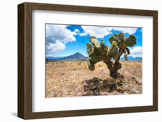 ¡Viva Mexico! Collection - Desert Landscape - Puebla-Philippe Hugonnard-Framed Photographic Print