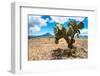 ¡Viva Mexico! Collection - Desert Landscape - Puebla-Philippe Hugonnard-Framed Photographic Print