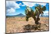 ¡Viva Mexico! Collection - Desert Landscape - Puebla-Philippe Hugonnard-Mounted Photographic Print