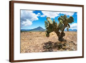 ¡Viva Mexico! Collection - Desert Landscape - Puebla-Philippe Hugonnard-Framed Photographic Print