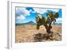 ¡Viva Mexico! Collection - Desert Landscape - Puebla-Philippe Hugonnard-Framed Photographic Print