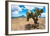 ¡Viva Mexico! Collection - Desert Landscape - Puebla-Philippe Hugonnard-Framed Photographic Print