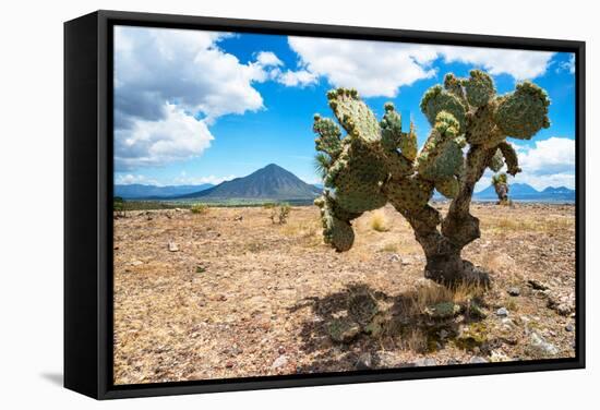 ¡Viva Mexico! Collection - Desert Landscape - Puebla-Philippe Hugonnard-Framed Stretched Canvas