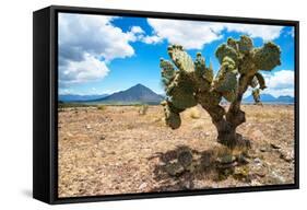 ¡Viva Mexico! Collection - Desert Landscape - Puebla-Philippe Hugonnard-Framed Stretched Canvas