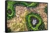 ¡Viva Mexico! Collection - Earth from above II-Philippe Hugonnard-Framed Stretched Canvas