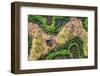 ¡Viva Mexico! Collection - Earth from above-Philippe Hugonnard-Framed Photographic Print