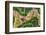 ¡Viva Mexico! Collection - Earth from above-Philippe Hugonnard-Framed Photographic Print