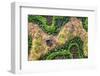 ¡Viva Mexico! Collection - Earth from above-Philippe Hugonnard-Framed Photographic Print