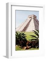 ¡Viva Mexico! Collection - El Castillo Pyramid of the Chichen Itza IV-Philippe Hugonnard-Framed Photographic Print