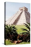 ¡Viva Mexico! Collection - El Castillo Pyramid of the Chichen Itza IV-Philippe Hugonnard-Stretched Canvas