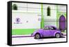 ¡Viva Mexico! Collection - "En Linea Roja" Purple VW Beetle Car-Philippe Hugonnard-Framed Stretched Canvas