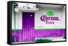 ¡Viva Mexico! Collection - Extra Purple-Philippe Hugonnard-Framed Stretched Canvas