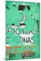 ¡Viva Mexico! Collection - Green Street Wall Art-Philippe Hugonnard-Mounted Photographic Print