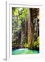 ¡Viva Mexico! Collection - Hanging Roots of Ik-Kil Cenote II-Philippe Hugonnard-Framed Photographic Print