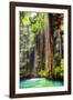 ¡Viva Mexico! Collection - Hanging Roots of Ik-Kil Cenote II-Philippe Hugonnard-Framed Photographic Print