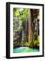 ¡Viva Mexico! Collection - Hanging Roots of Ik-Kil Cenote II-Philippe Hugonnard-Framed Photographic Print