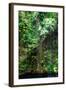 ¡Viva Mexico! Collection - Hanging Roots of Ik-Kil Cenote III-Philippe Hugonnard-Framed Photographic Print